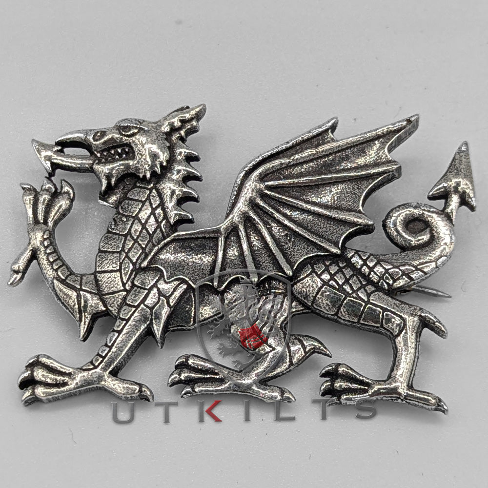 A silver brooch depicting the Welsh dragon, symbolizing heritage and culture, elegantly crafted for display.