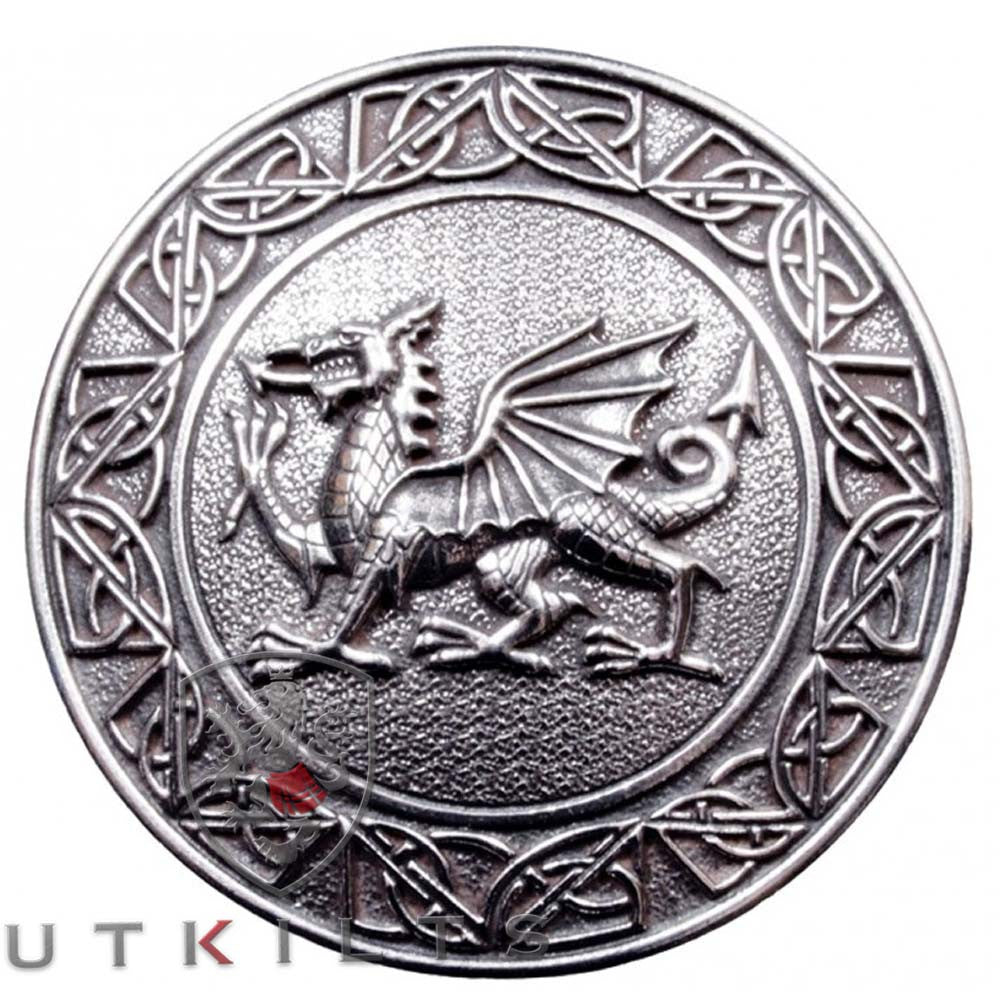 A silver coin featuring an intricately designed dragon, showcasing its scales and fierce expression.

