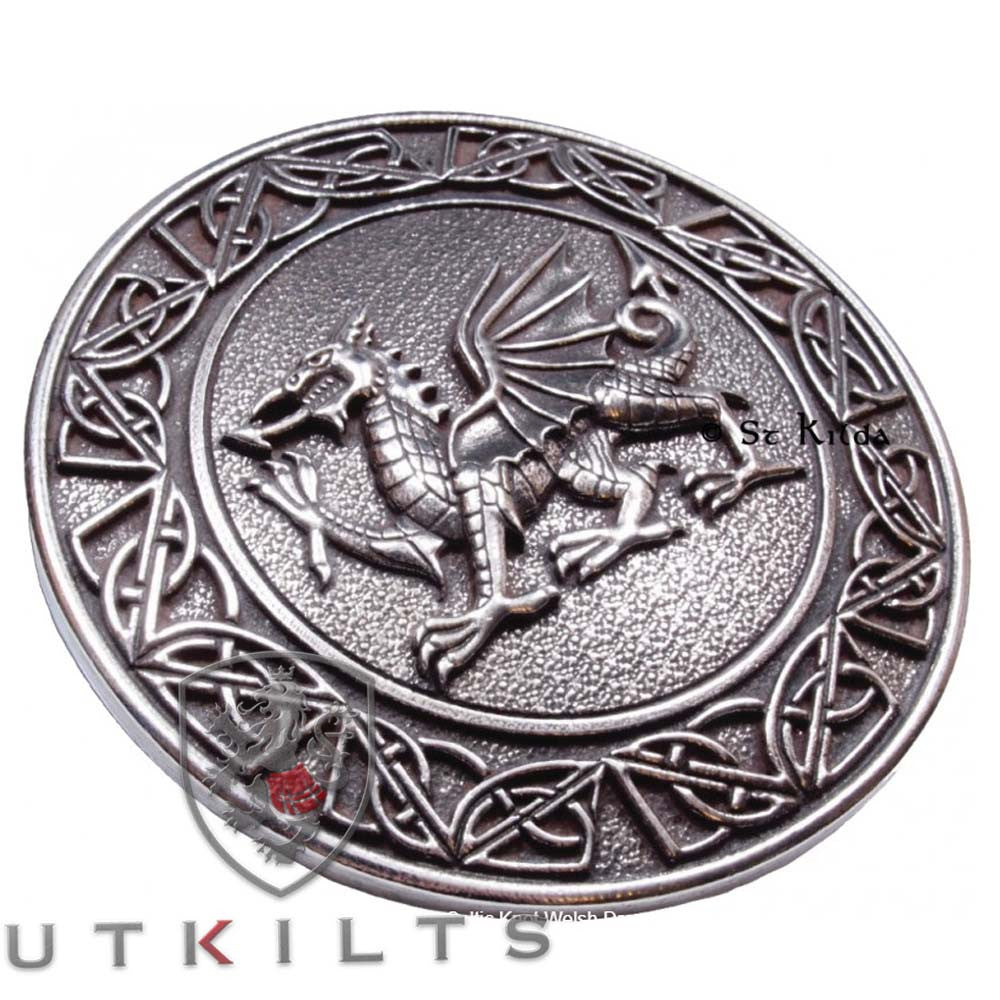 Celtic Penannular Dragon Cloak Pin Brooch